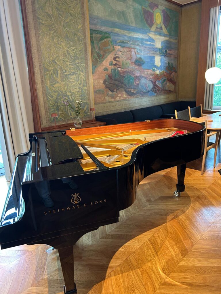 piano steinway fondation danoise 7