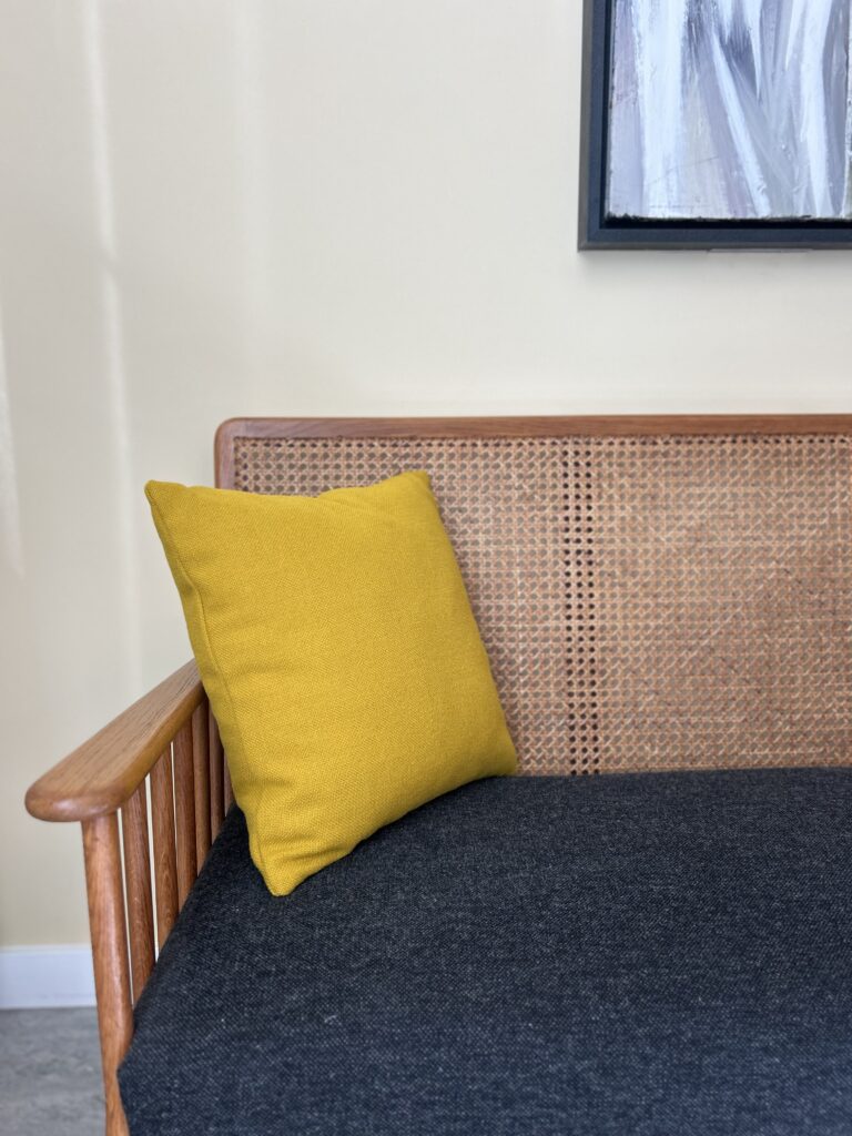 New cushions for a pop of color !